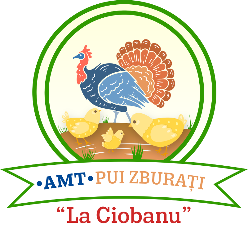 logo-AMT-Pui