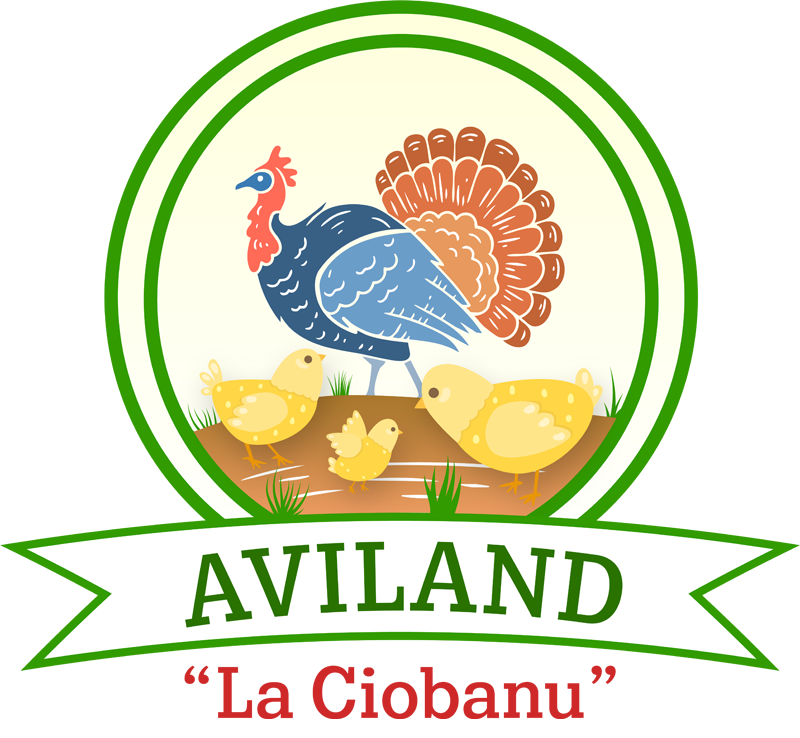 logo-Aviland